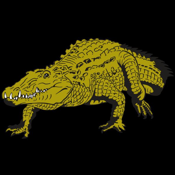 AR GATOR 13 RQC Thumbnail