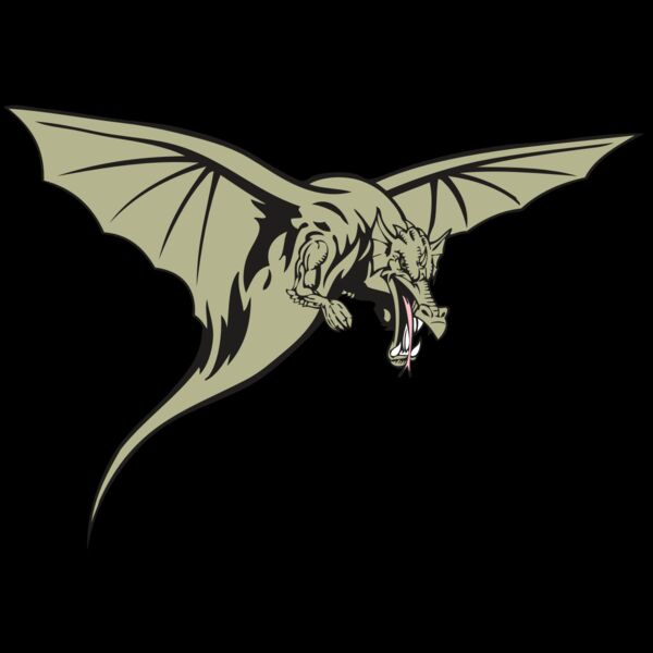 BAW DRAGON 12 RC Thumbnail