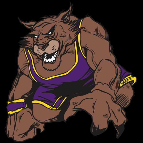 AR WILDCAT 23 RC Thumbnail