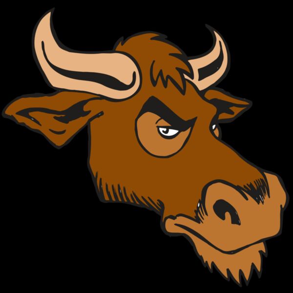 AR5 Bull 06 RQC Thumbnail