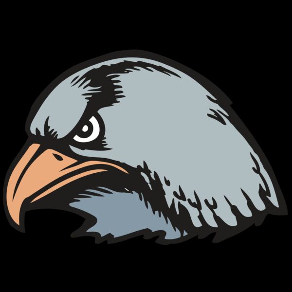 BAW HWK FLCN 03 RC Thumbnail