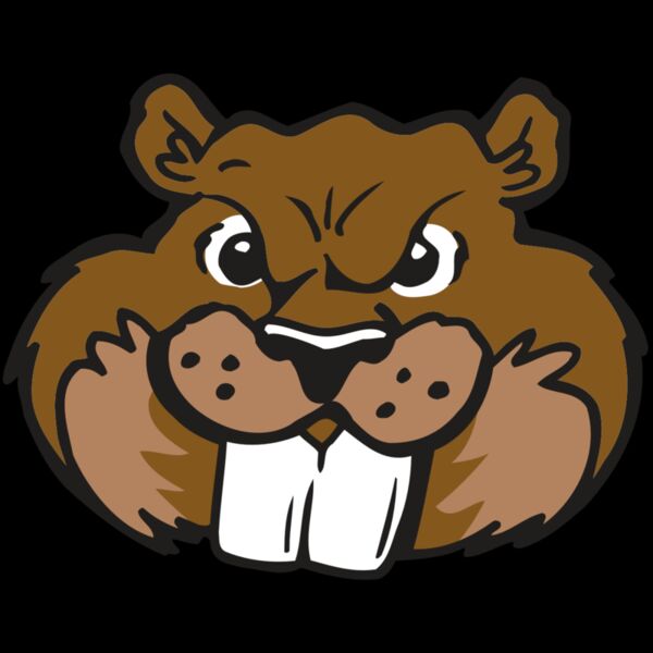 AR BEAVER 10 RC Thumbnail