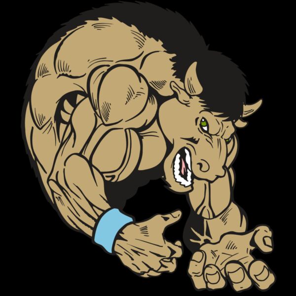 AR5 BUFFALO 12 RQC Thumbnail