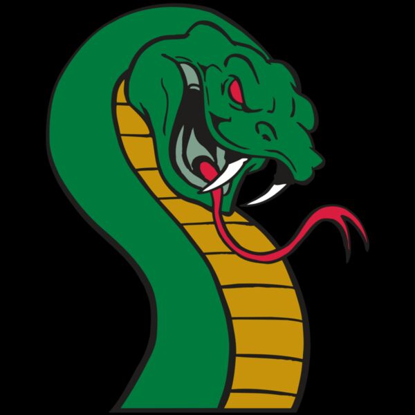 AR SNAKE 12 RC Thumbnail