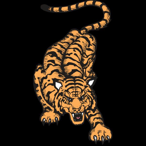 BAW TIGER 01 RC Thumbnail