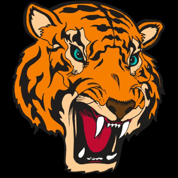 BAW TIGER 12 RC Thumbnail