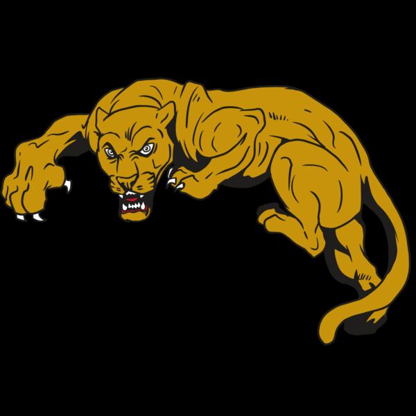 AR10 PANTHER 02 RQC Thumbnail